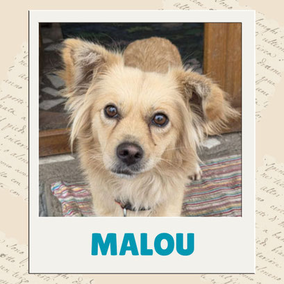 Malou