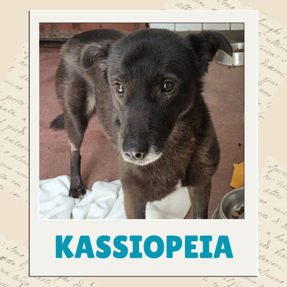 Kassiopeia