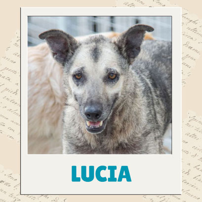 Lucia
