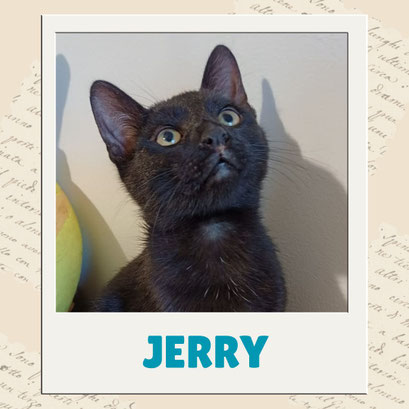 Jerry