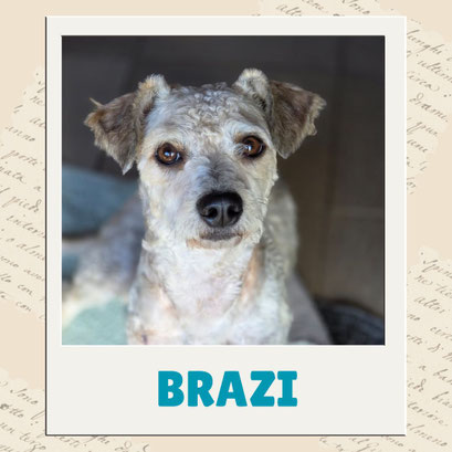 Brazi