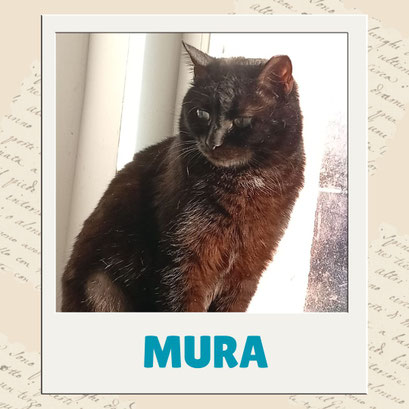 Mura