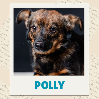 Polly
