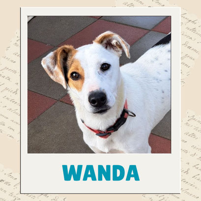Wanda