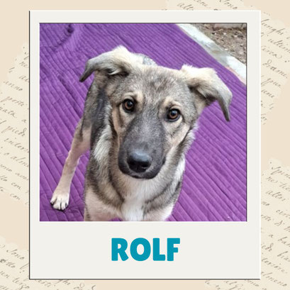 Rolf