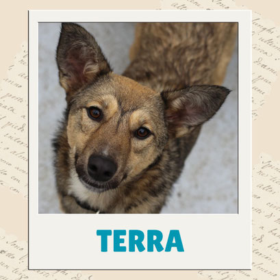 Terra