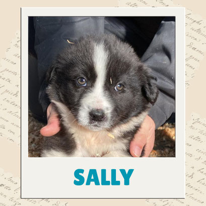 Sally
