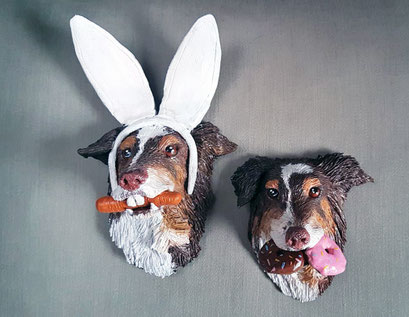 Magnet des eigenen Hundes
