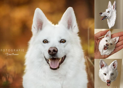 Magnet des eigenen Hundes
