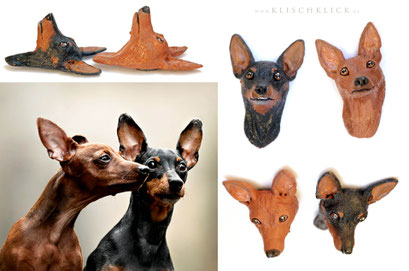 Magnet des eigenen Hundes