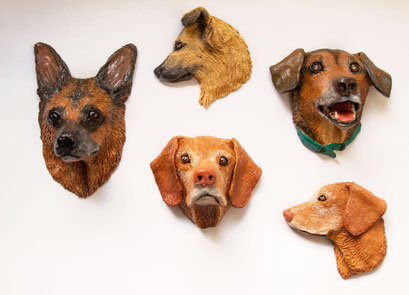Magnet des eigenen Hundes