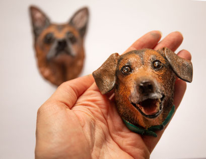 Magnet des eigenen Hundes
