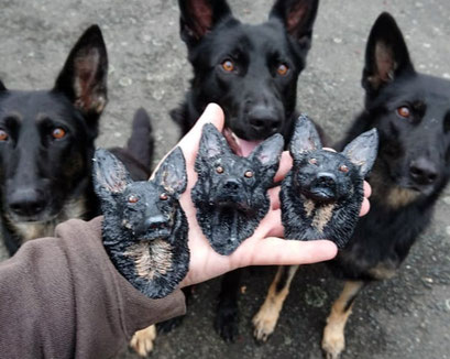 Magnet des eigenen Hundes