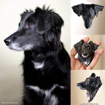 Magnet des eigenen Hundes