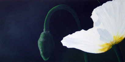Acrylic on Canvas, 30 x 60 cm