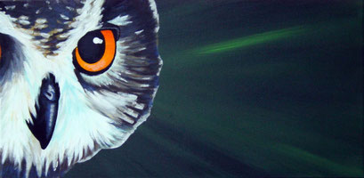 Acrylic on Canvas, 30 x 60 cm