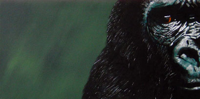 Acrylic on Canvas, 30 x 60 cm