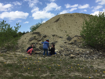 3 Mädchen suchen nach Fossilien