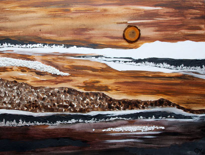 Polarsonne 60x80