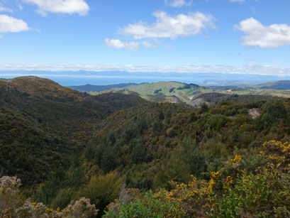 Blick vom Takaka Hochland Richtung Motueka