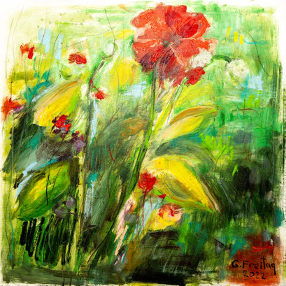 MOHNBLUMEN | 2022, Öl auf Leinwand, 80 x 80 cm