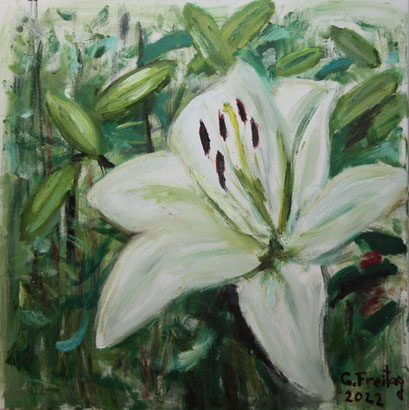 LILIE WEISS | 2022, Öl auf Leinwand, 80 x 80 cm