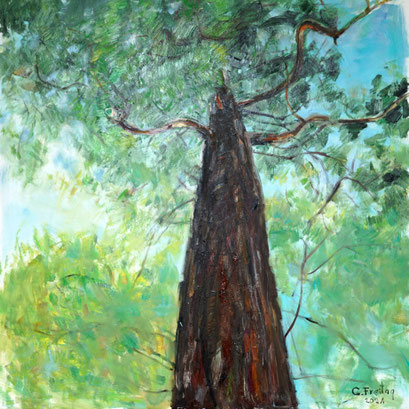 MAMMUTBAUM IN LINZ | 2021, Öl auf Leinwand, 120 x 120 cm