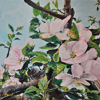 Apfelbaum, Blüte, 50x50 cm, 2022
