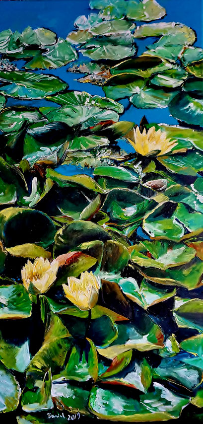 Gelbe Seerose, 50x100cm, 2019 (verk.)