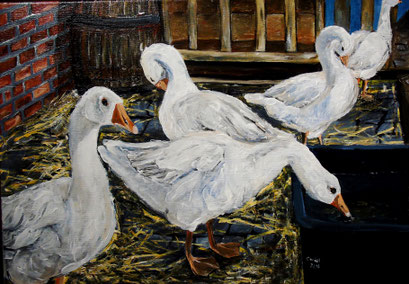 Gänse, 70x50cm, 2014