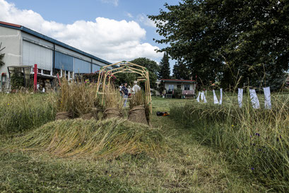 mähen 1_Ausstellungsansicht_multimedia_Größe variabel_Kunsthalle Kleinschönach_2021_Foto: Isabel Meyer