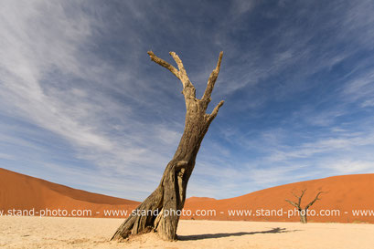 Sossusvlei - Namibie