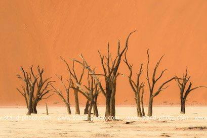 Sossusvlei - Namibie