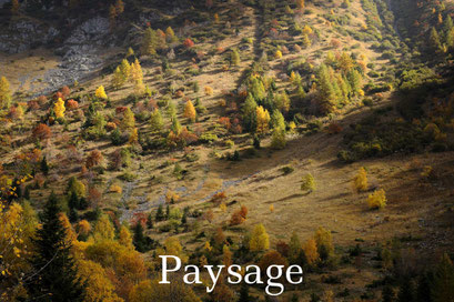 Paysages