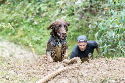 Photo by Manus Fotografie (https://www.manus-fotografie.de/)