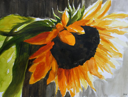 Sonnig
