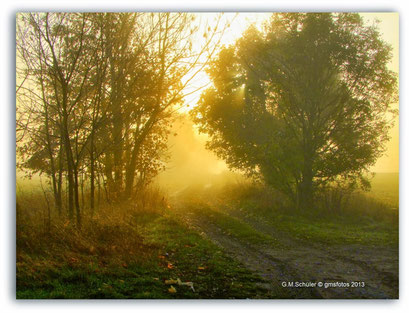 Sonnenaufgang im Frühling