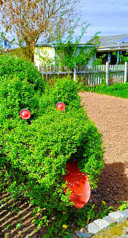 Renate Gerstel - Drache (Copy)