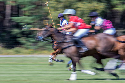 Jochen Mathews MoFo Polo (Copy)