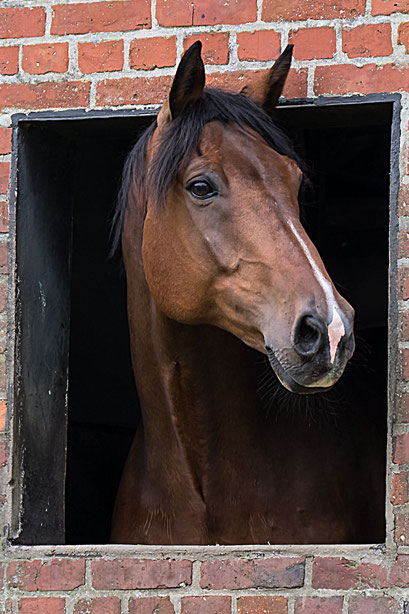 Steffi Siemer MoFo 08 2025 (Copy)