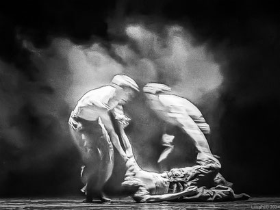 Daphi Mofo 9.25 (Copy)