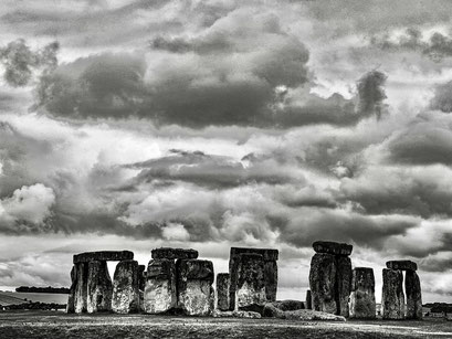 Fred Mofo 8.25 (Copy)