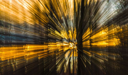 Jochen Mathews - Abendlicht im Wald (Copy)