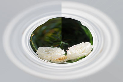 MoFo Steffi Siemer 07 2025 (Copy)