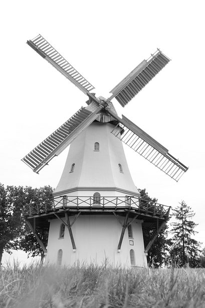 Matthias Looff 2025-09 MoFo (Copy)