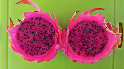 Pitaya/Drachenfrucht mit pinkem Fruchtfleisch (Hylocereus monocanthus)
