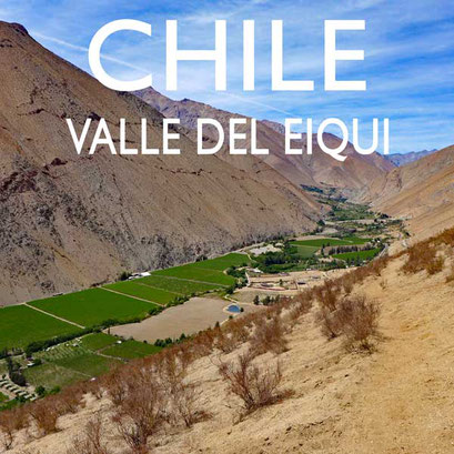 Reisebericht Chile Valle del Elqui Reiseblog Edeltrips