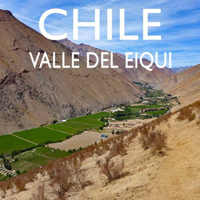 Chile Valle del Elqui 