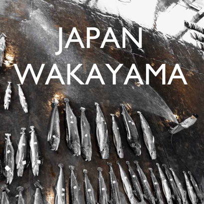 Reiseblog Japan Wakayama Route Tipps