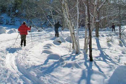 Langlaufparadies Zittauer Gebirge